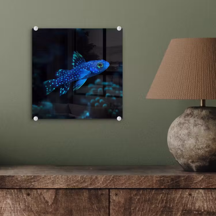 Vis - Stippen - Koraal - Blauw plexiglas 5mm klein -sfeer3