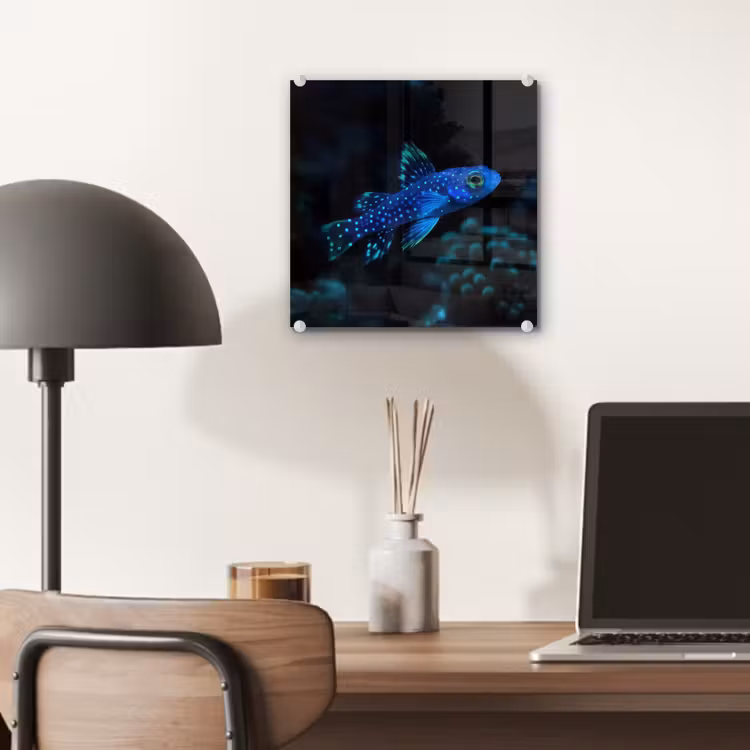 Vis - Stippen - Koraal - Blauw plexiglas 5mm klein -sfeer6