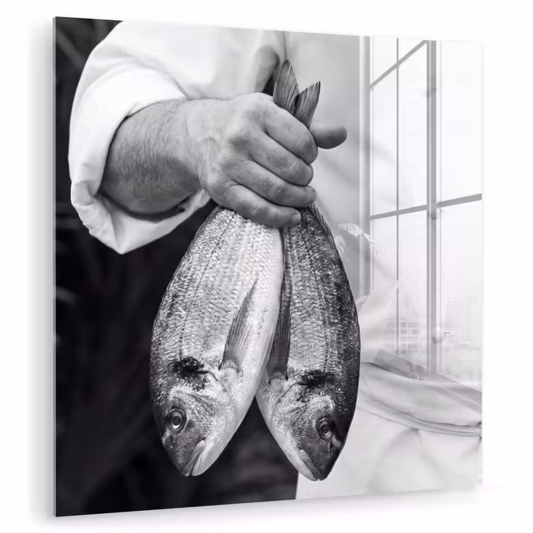 Vissen - Chef - Zwart - Wit plexiglas 5mm klein -zzzproduct_nieuw