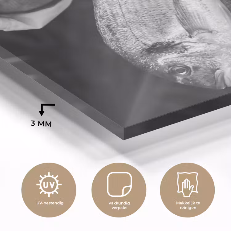 Vissen - Chef - Zwart - Wit plexiglas 5mm klein -sfeer2