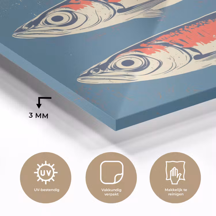 Vissen - Rood - Blauw plexiglas 5mm klein -sfeer2
