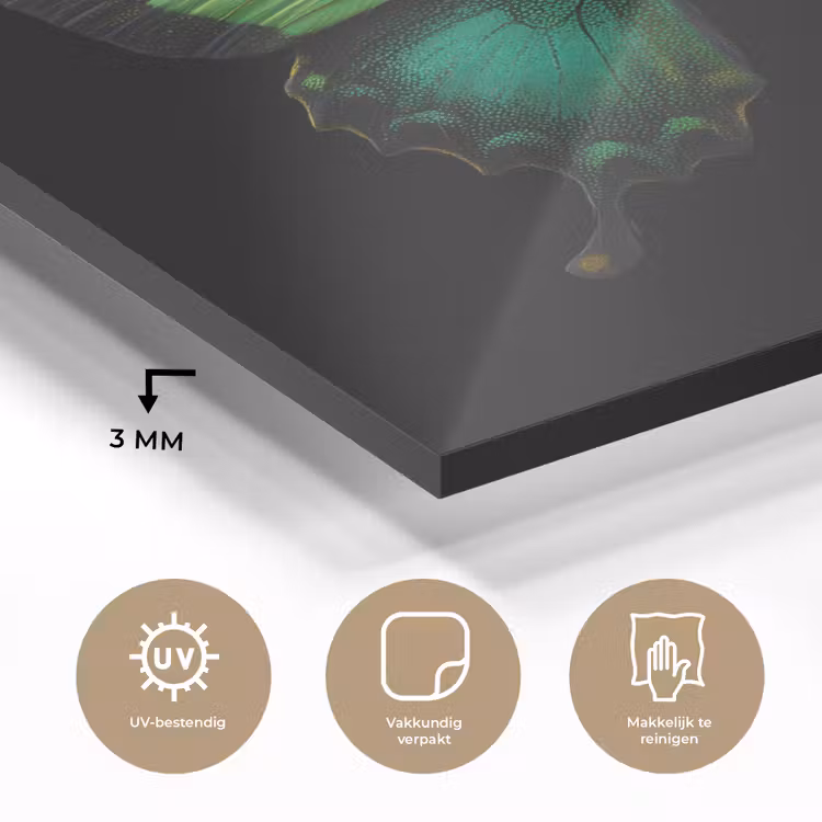 Vlinder - Groen - Opvallend plexiglas 5mm klein -sfeer2