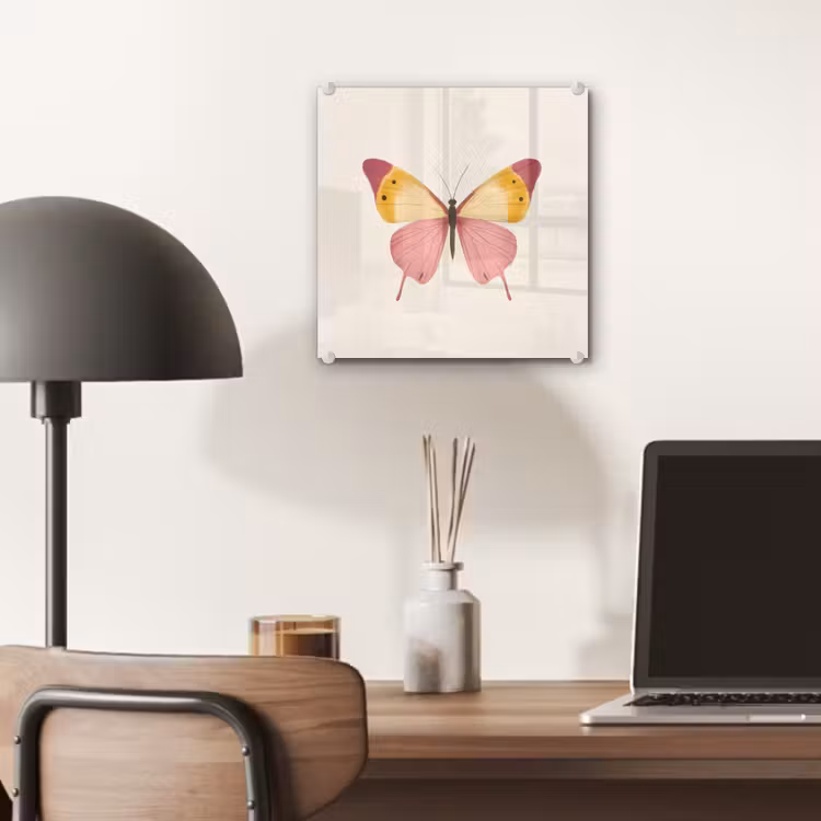 Vlinder - Illustratie - Roze plexiglas 5mm klein -sfeer6