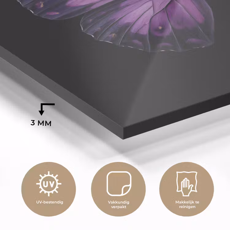 Vlinder - Paars - Levendig plexiglas 5mm klein -sfeer2
