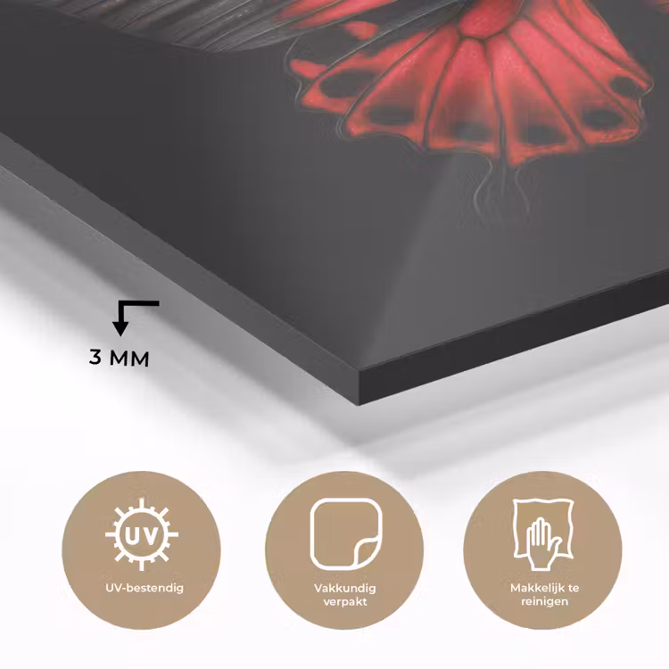 Vlinder - Rood - Contrast plexiglas 5mm klein -sfeer2