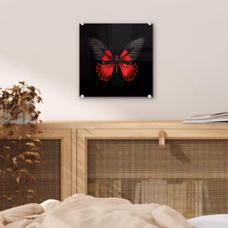 Vlinder - Rood - Contrast plexiglas 5mm klein -sfeer4