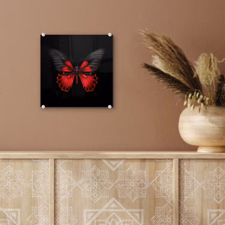 Vlinder - Rood - Contrast plexiglas 5mm klein -sfeer5