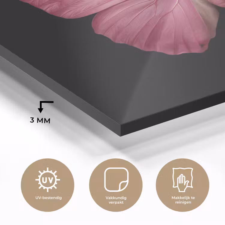 Vlinder - roze - Elegant plexiglas 5mm klein -sfeer2