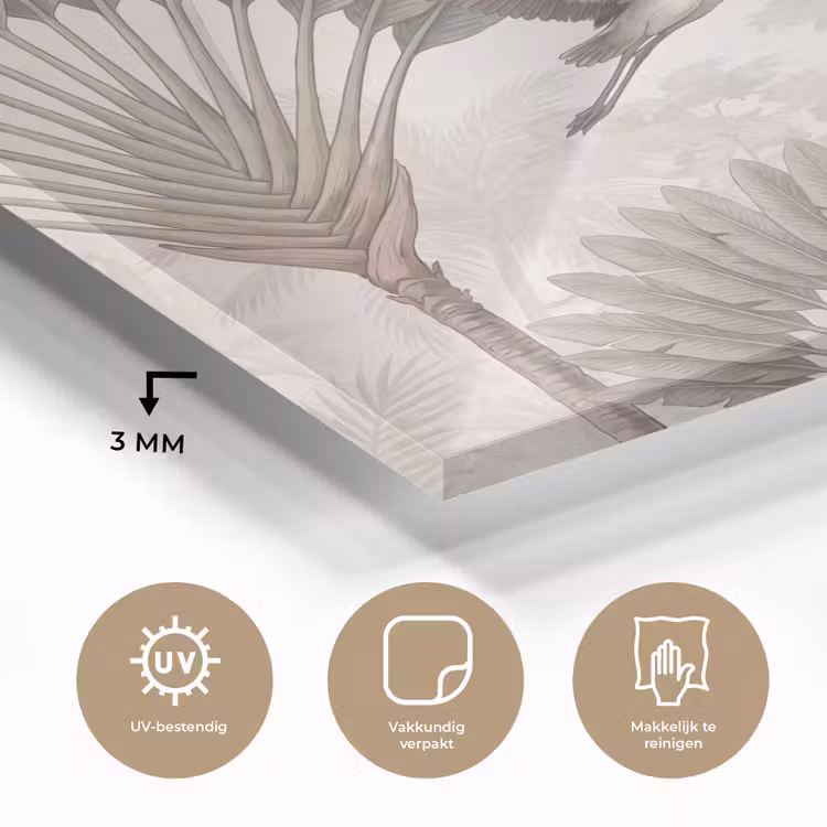Vogel - Tropisch - Jungle - Natuur - Beige plexiglas 5mm klein -sfeer2
