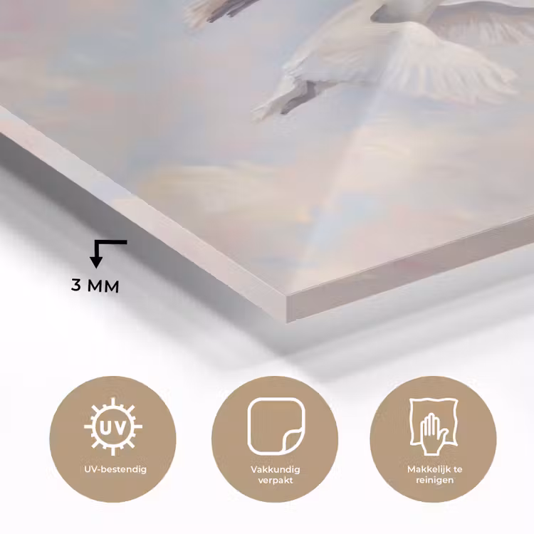Vogel - Vliegend - Lucht - Modern - Pastel plexiglas 5mm klein -sfeer2