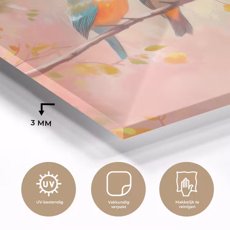 Vogels - Kleurrijk - Tak plexiglas 5mm klein -sfeer2