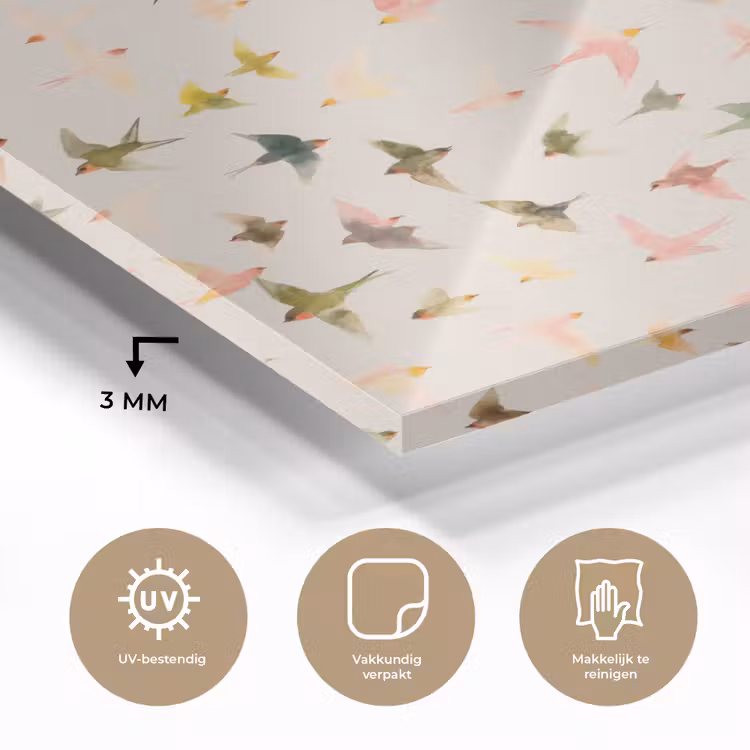 Vogels - Vliegen - Kleurrijk plexiglas 5mm klein 11 -sfeer2