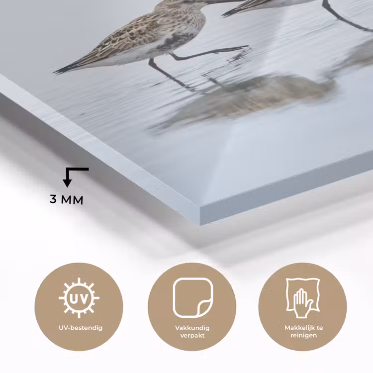 Vogels - Water - Grijs plexiglas 5mm klein -sfeer2