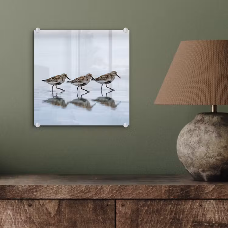 Vogels - Water - Grijs plexiglas 5mm klein -sfeer3