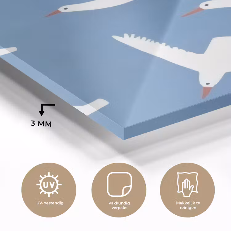 Vogels - Wit - Patroon plexiglas 5mm klein -sfeer2