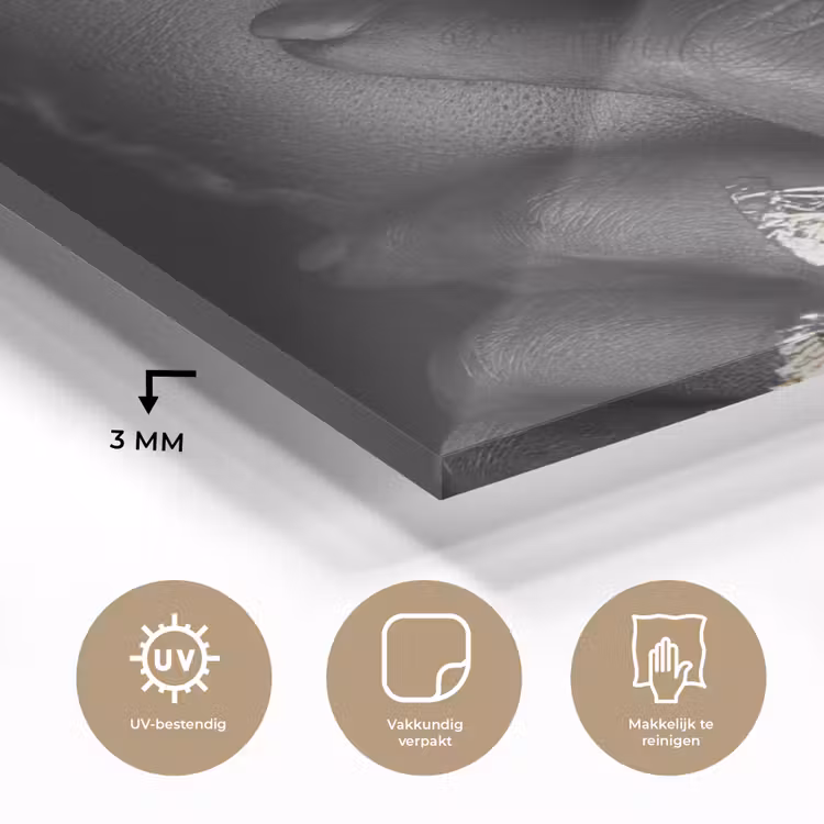 Vrouw - Goud - Zwart - Schmink - Luxe plexiglas 5mm klein -sfeer2
