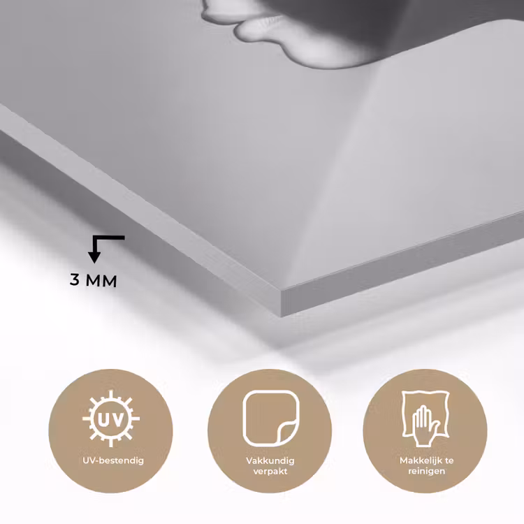 Vrouw - Profiel - Mensen - Zwart-wit plexiglas 5mm klein -sfeer2
