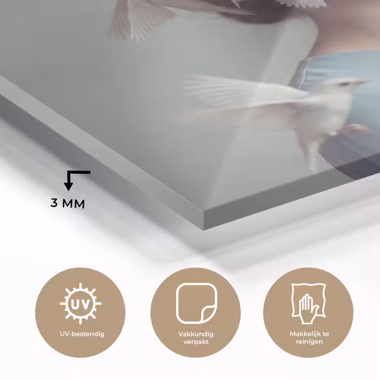Vrouw - Vogels - Abstract - Modern - Wit plexiglas 5mm klein -sfeer2