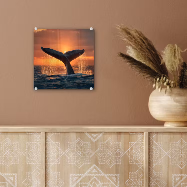 Walvis staart - Water - Zonsondergang plexiglas 5mm klein -sfeer5