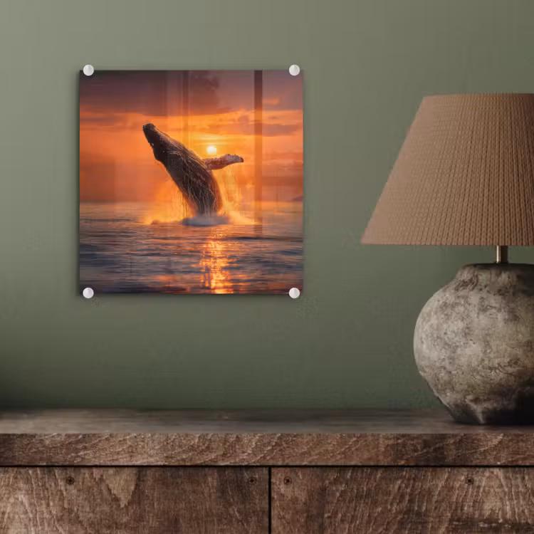 Walvis - Zon - Zee plexiglas 5mm klein -sfeer3