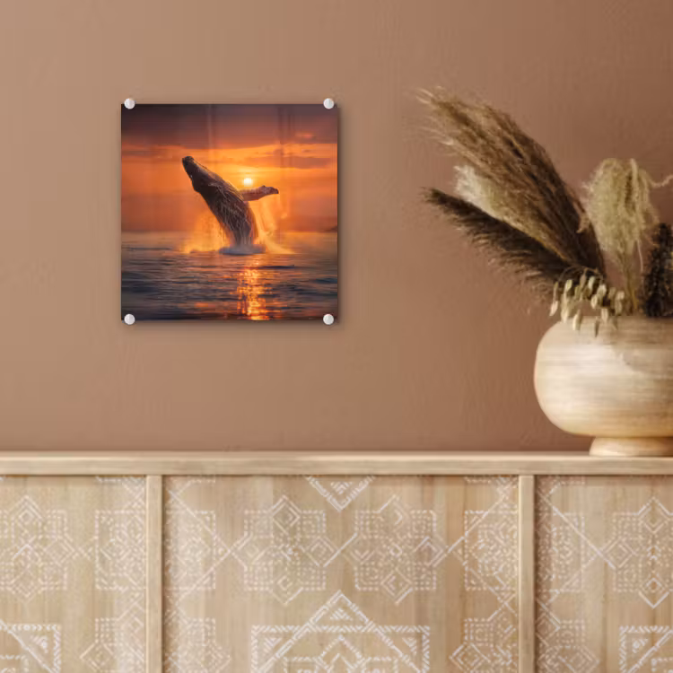 Walvis - Zon - Zee plexiglas 5mm klein -sfeer5