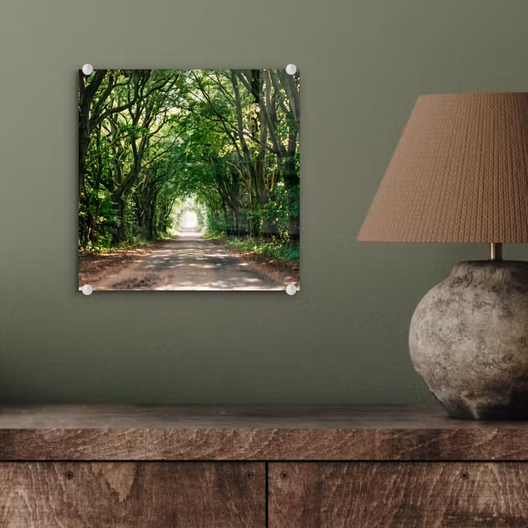 Weg - Bomen - Natuur - Groen plexiglas 5mm klein -sfeer3