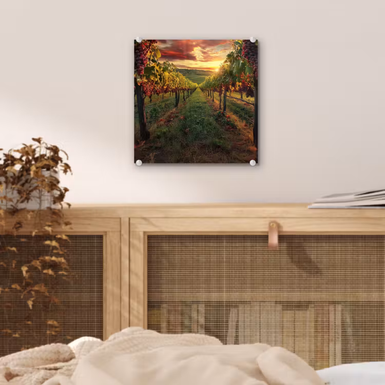Wijngaard - Druiven - Zonsondergang plexiglas 5mm klein -sfeer4