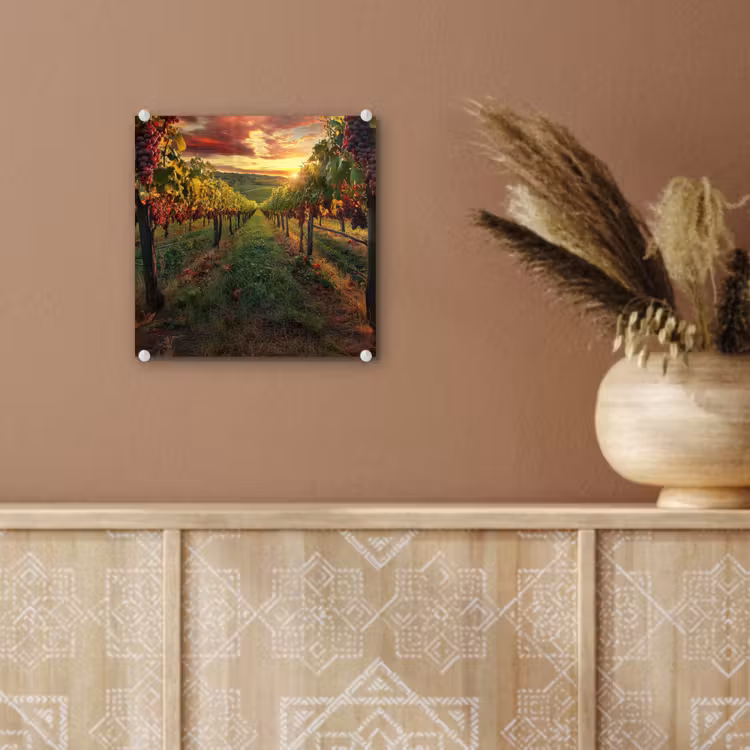 Wijngaard - Druiven - Zonsondergang plexiglas 5mm klein -sfeer5