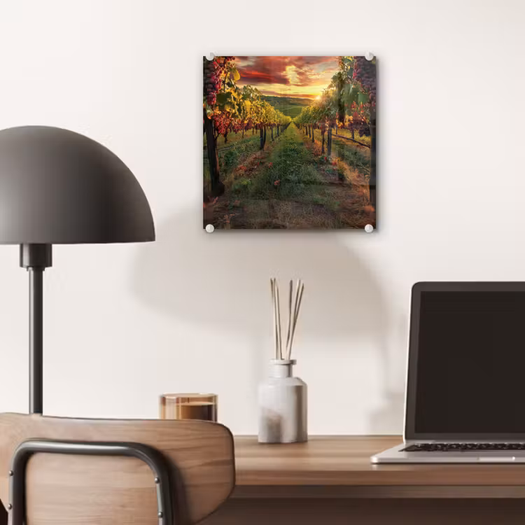 Wijngaard - Druiven - Zonsondergang plexiglas 5mm klein -sfeer6