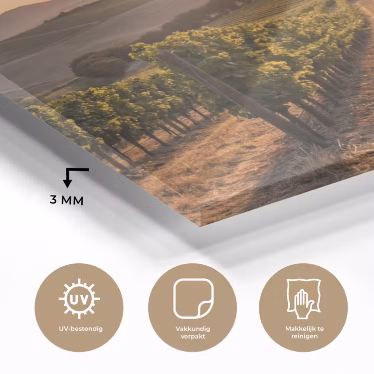 Wijngaard - Zonsondergang - Landschap plexiglas 5mm klein -sfeer2