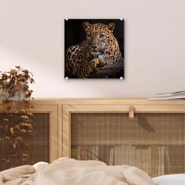 Wilde dieren - Panter - Portret - Zwart - Dieren plexiglas 5mm klein -sfeer4