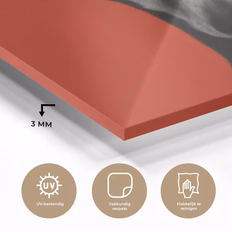 Windhond - Minimalistisch - Rood plexiglas 5mm klein -sfeer2