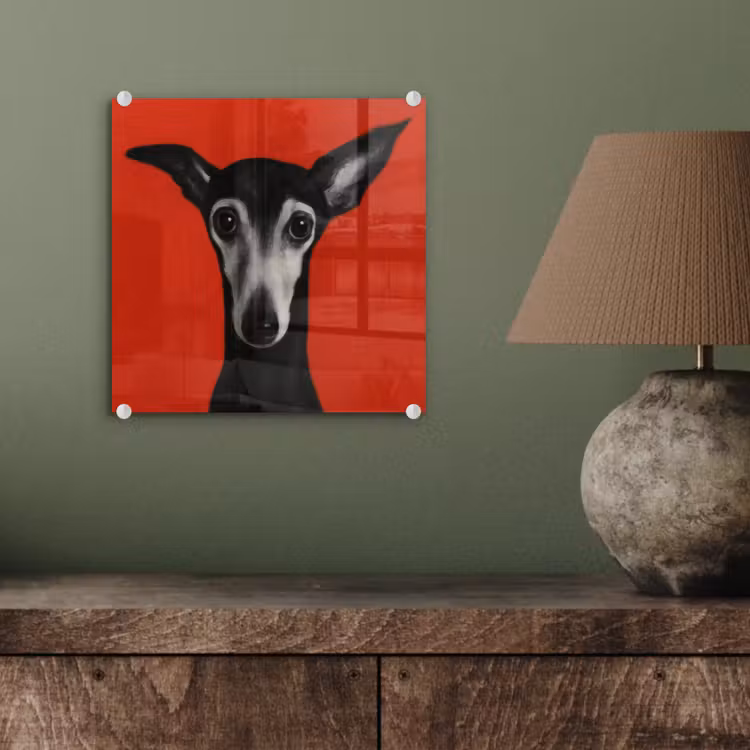 Windhond - Minimalistisch - Rood plexiglas 5mm klein -sfeer3