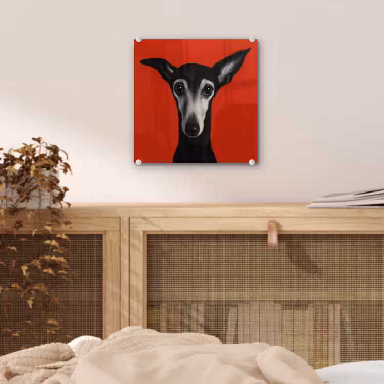 Windhond - Minimalistisch - Rood plexiglas 5mm klein -sfeer4