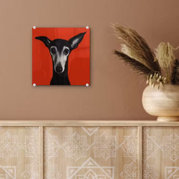 Windhond - Minimalistisch - Rood plexiglas 5mm klein -sfeer5