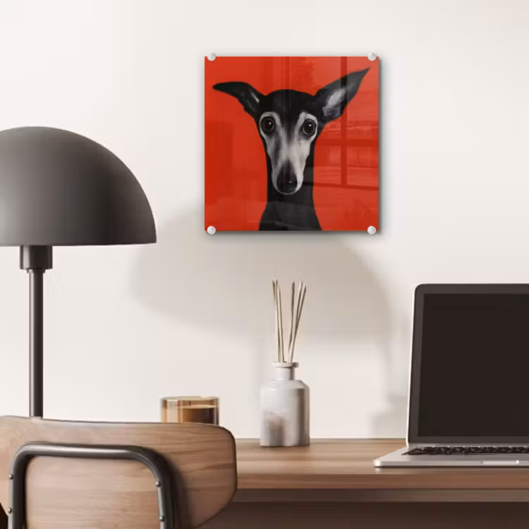 Windhond - Minimalistisch - Rood plexiglas 5mm klein -sfeer6