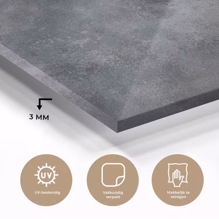 Winter - Hulst - Kerst - Beton plexiglas 5mm klein -sfeer2
