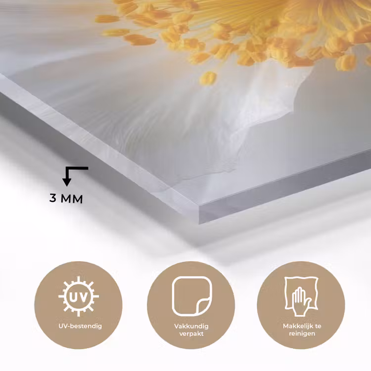 Wit - Bloem - Elegant plexiglas 5mm klein -sfeer2