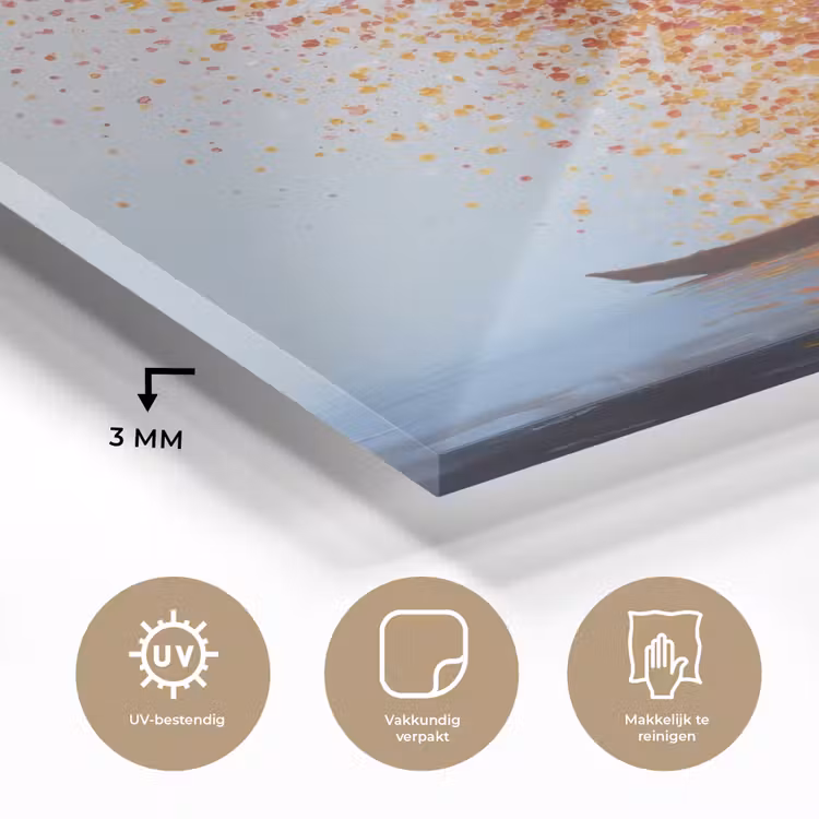 Wolk - Confetti - Boot - Wateroppervlakte plexiglas 5mm klein -sfeer2