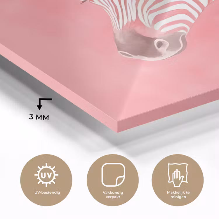 Zebra - Pink - Verf plexiglas 5mm klein -sfeer2