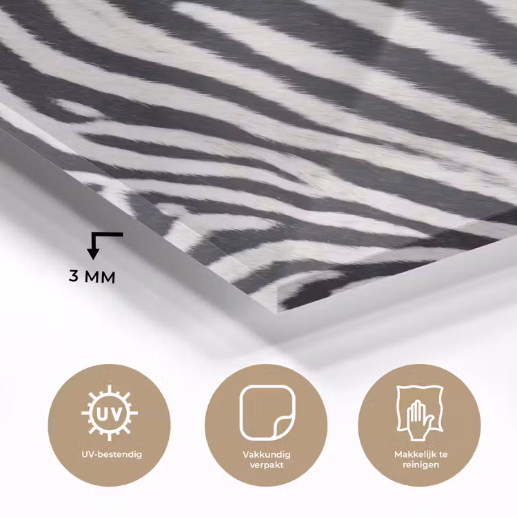 Zebra - Vacht - Klassiek - Zwart - Wit plexiglas 5mm klein -sfeer2