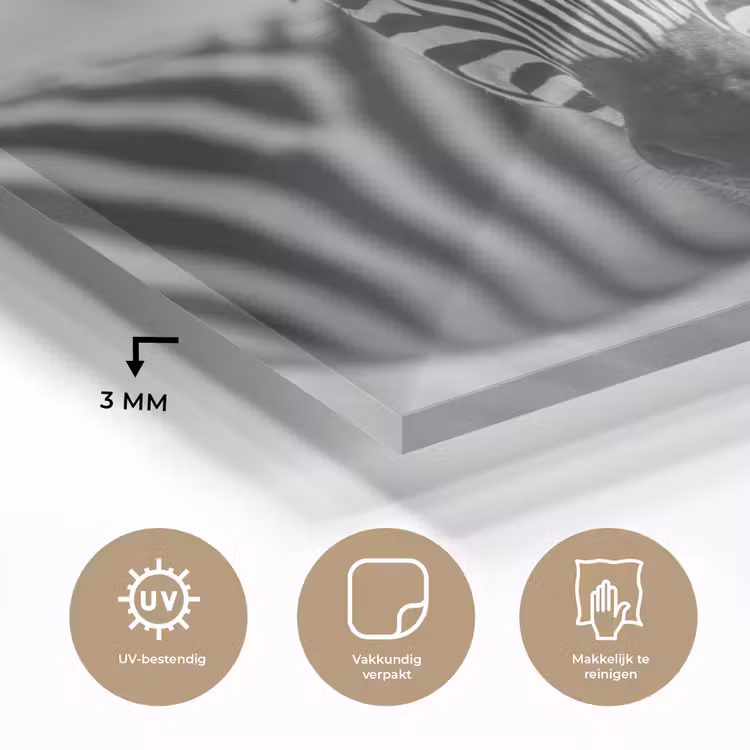 Zebra's - Zwart - Wit plexiglas 5mm klein -sfeer2