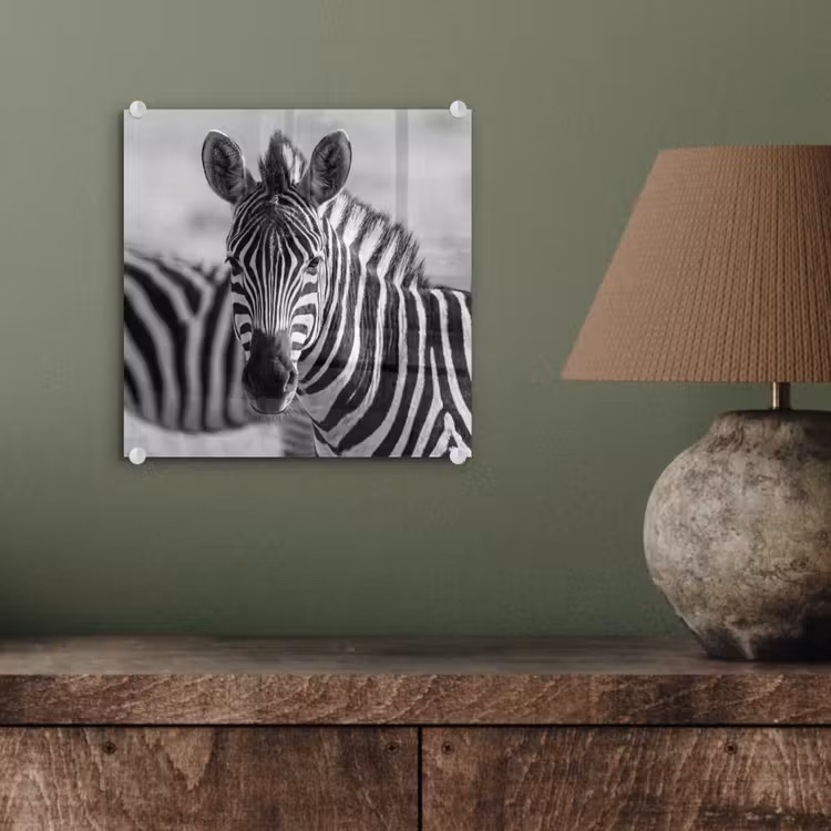 Zebra's - Zwart - Wit plexiglas 5mm klein -sfeer3
