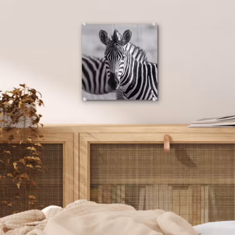 Zebra's - Zwart - Wit plexiglas 5mm klein -sfeer4