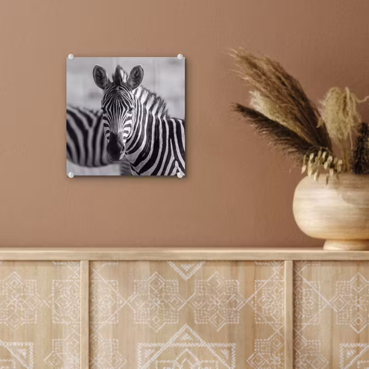 Zebra's - Zwart - Wit plexiglas 5mm klein -sfeer5