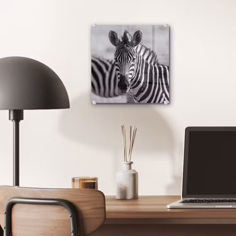 Zebra's - Zwart - Wit plexiglas 5mm klein -sfeer6