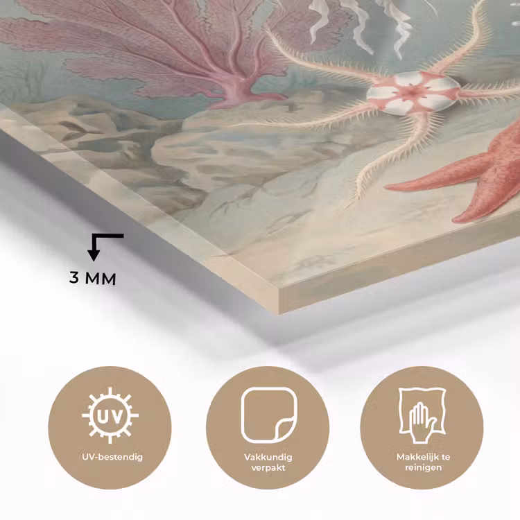 Zeeleven - Kwal - Onderwater - Illustratie - Beige plexiglas 5mm klein -sfeer2