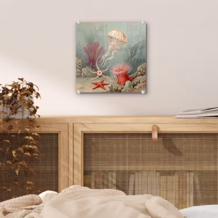 Zeeleven - Kwal - Onderwater - Illustratie - Beige plexiglas 5mm klein -sfeer4