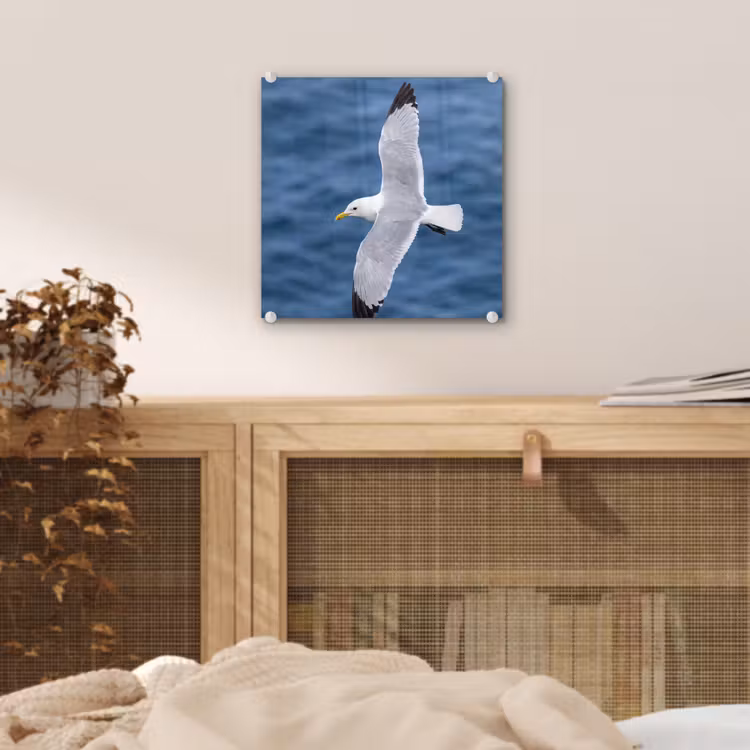 Zeemeeuw - Oceaan - Blauw plexiglas 5mm klein -sfeer4
