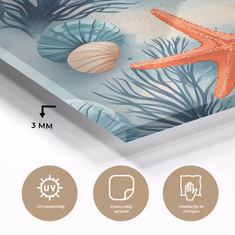 Zeesterren - Schelpen - Illustratie - Zand plexiglas 5mm klein -sfeer2